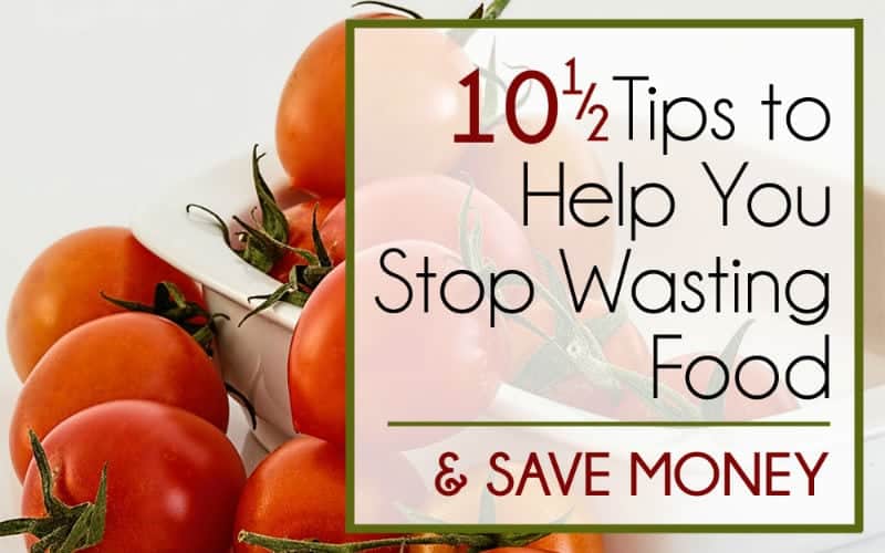 Stop Wasting Food – and SAVE MONEY!