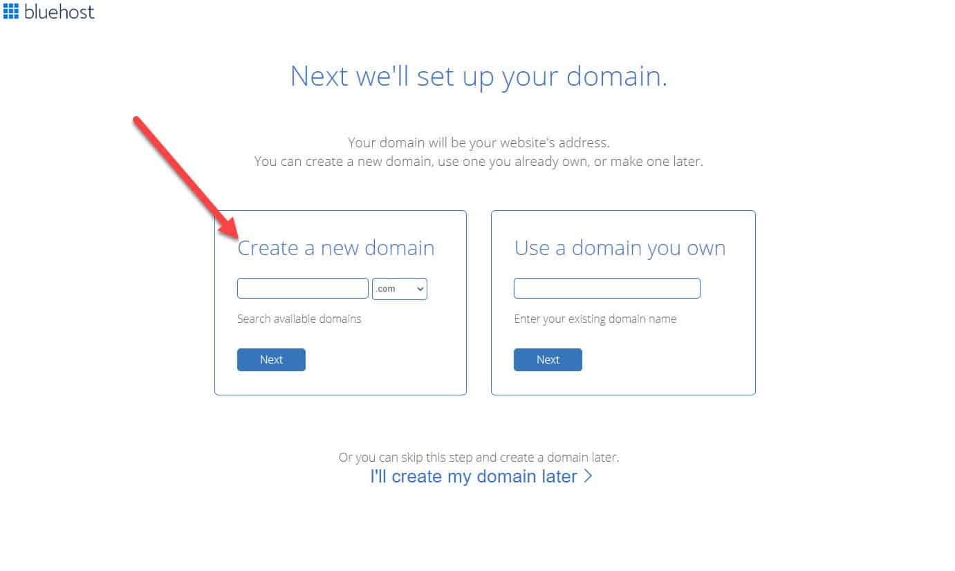 domain set up screen on bluehost website
