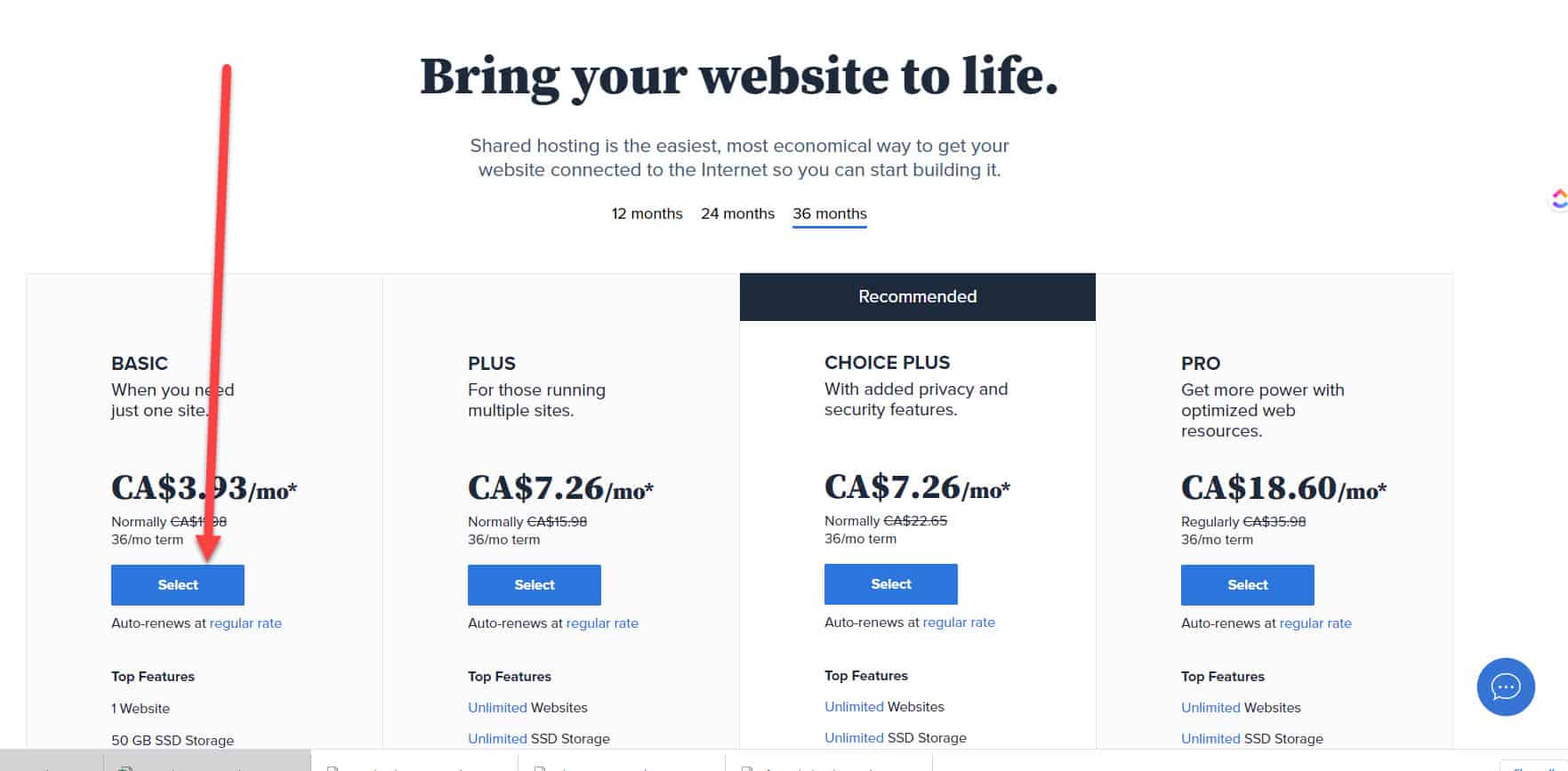 screenshot of bluehost hosting package options
