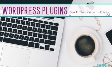 How to Install WordPress Plugins (& Warnings)