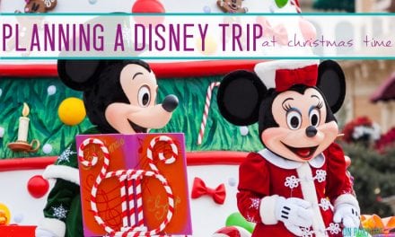 Planning a Disneyland Trip at Christmas Time!