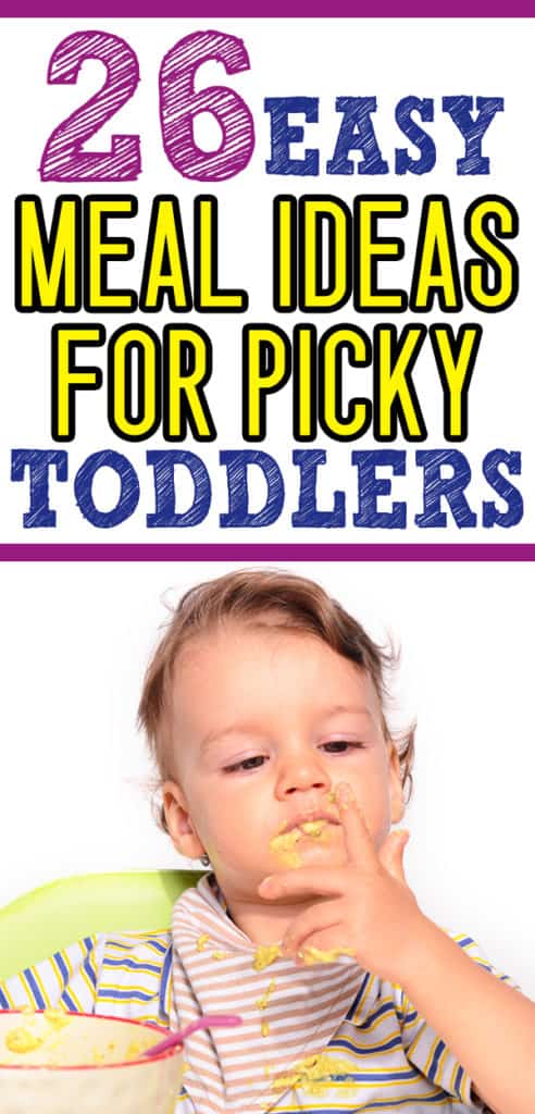 What To Feed My Picky Eater Toddler