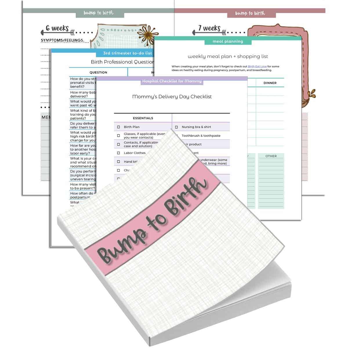 pregnancy planner and babys first year journal limited bump birth plan
