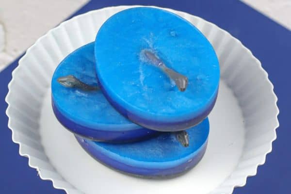 handmade dinosaur soap gift