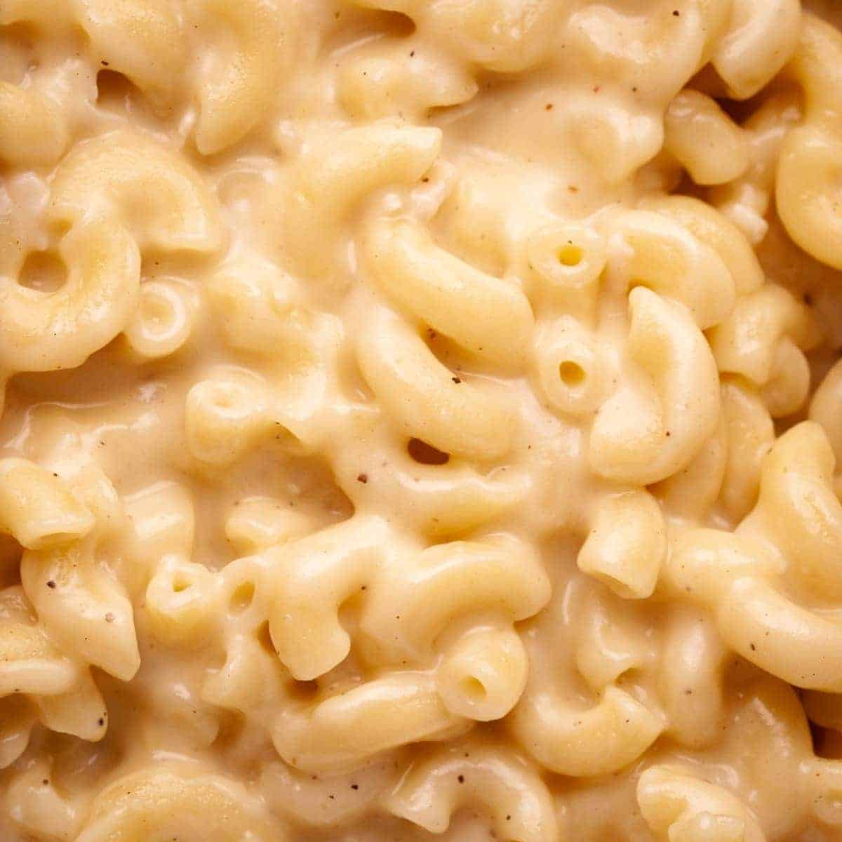 Creamy Brie & Gouda Mac and Cheese (No-Bake!)