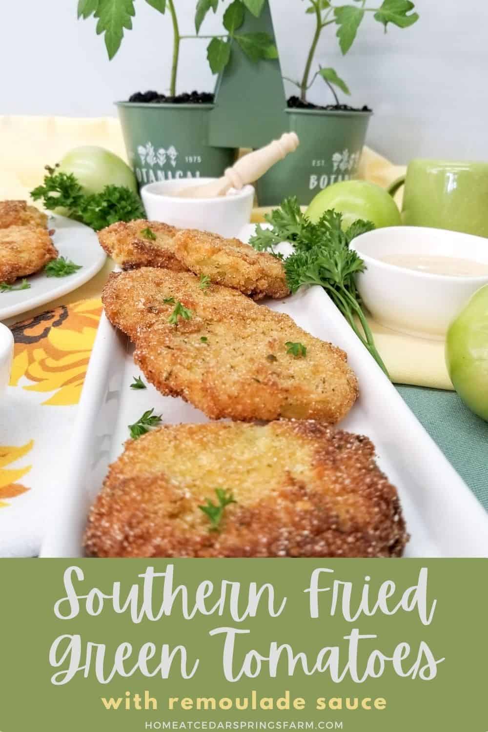 Southern Fried Green Tomatoes
