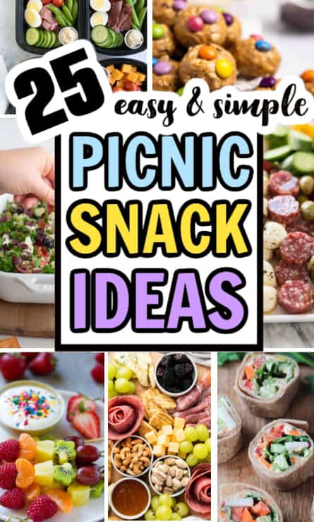 picnic snack ideas for families and kids