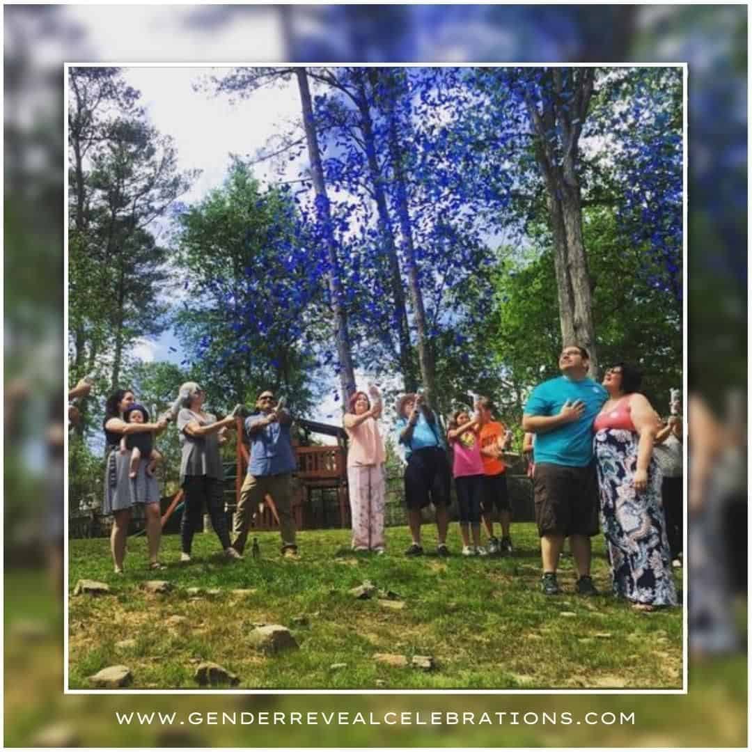 gender reveal ideas