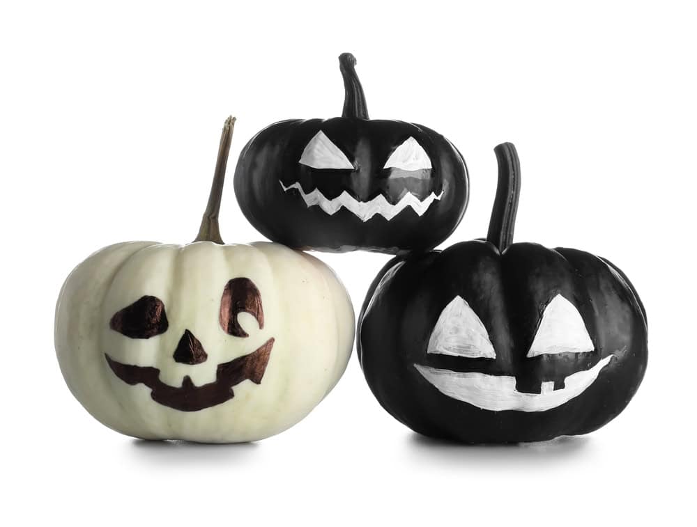painted pumpkin ideas