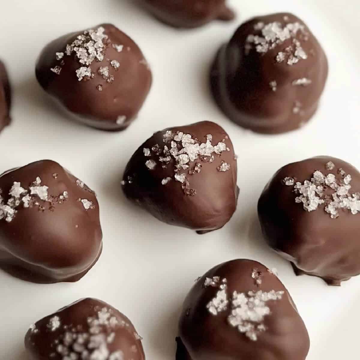 Olive Oil Chocolates