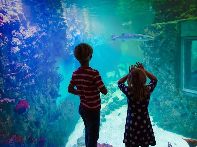 13 reasons to homeschool