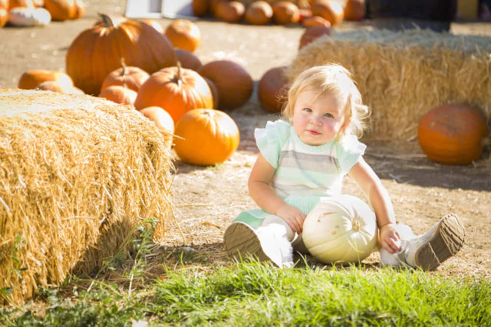 fall first birthday party themes pumpkin patch