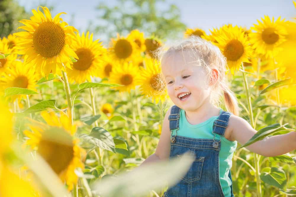 sunflower themed first birthday party