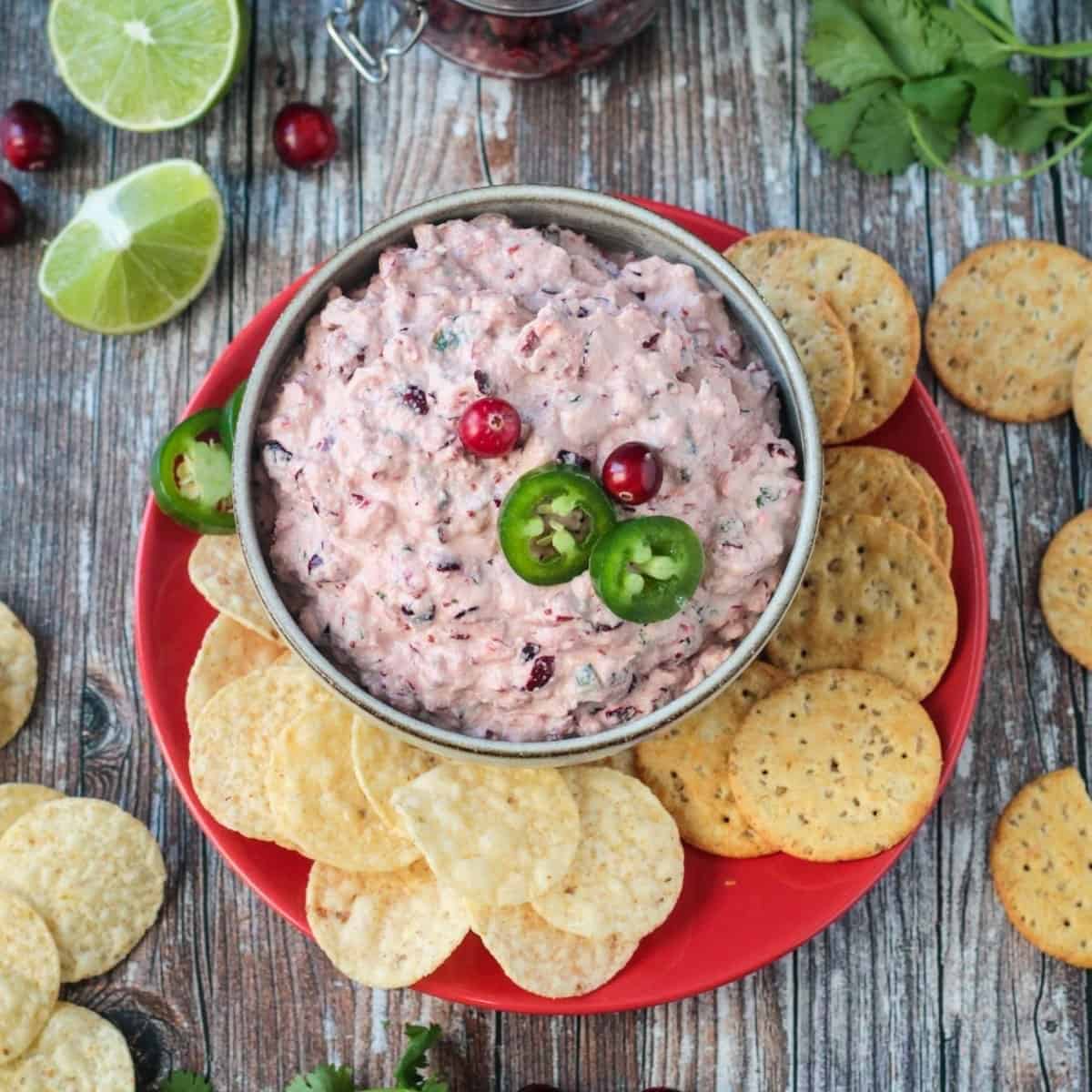 Creamy Cranberry Salsa Dip