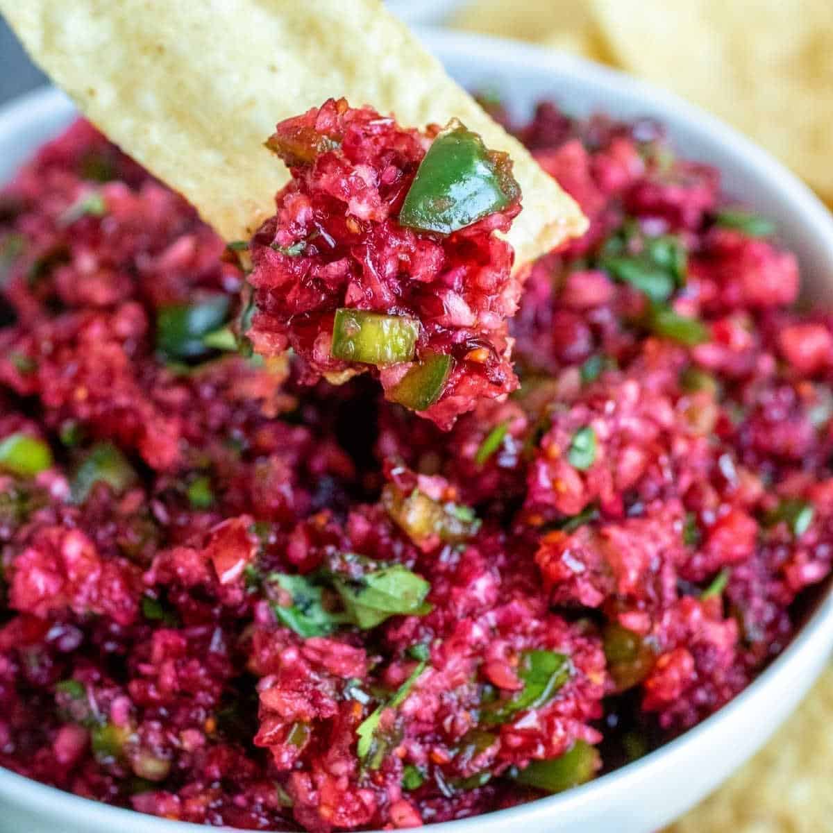 Fresh Cranberry Salsa
