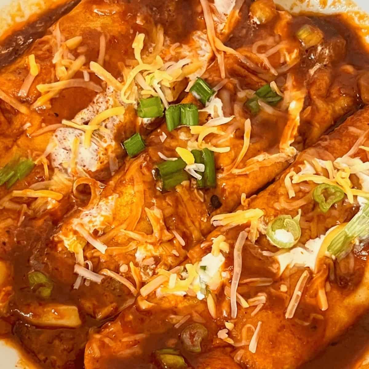 Mexican Enchiladas Vegetarian