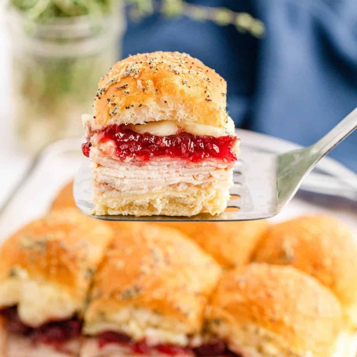 Turkey Cranberry Sliders