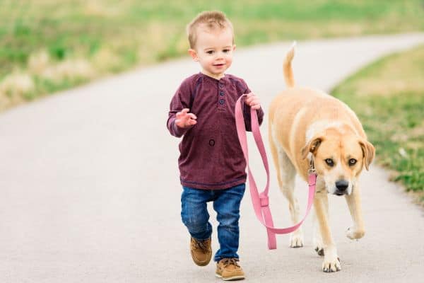 first birthday photoshoot ideas