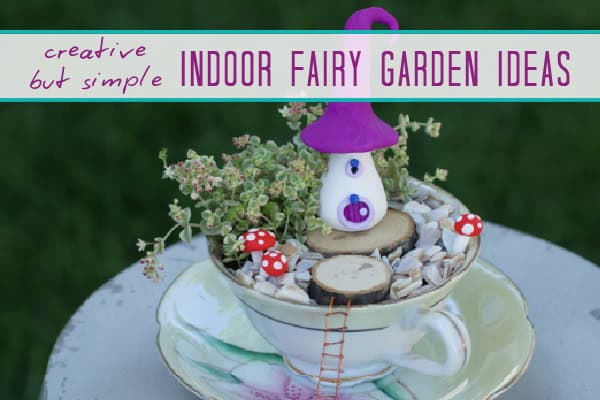 indoor fairy garden ideas