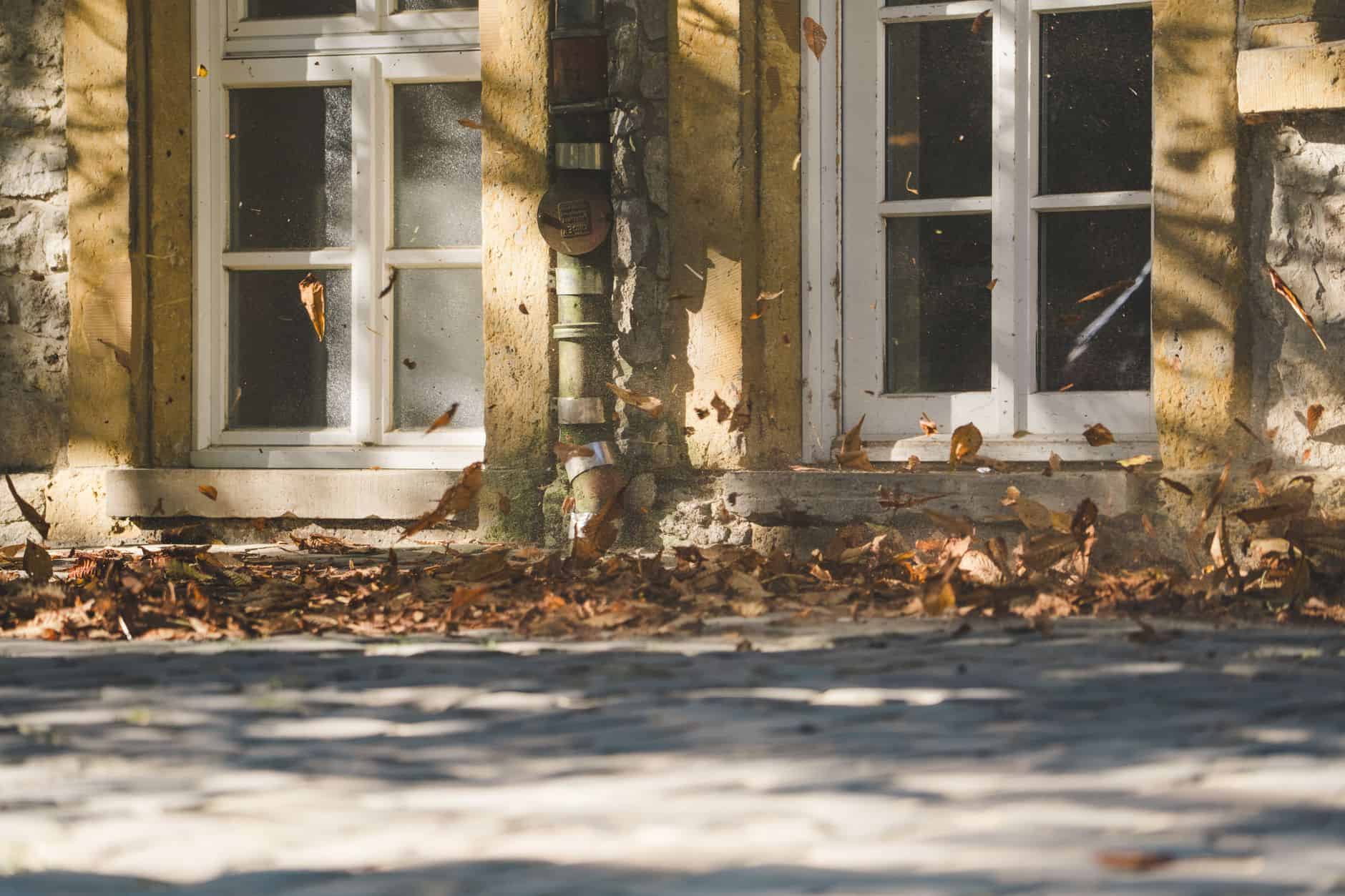 Fallen autumn leaves in front of vintage stone building windows in Bielefeld.
